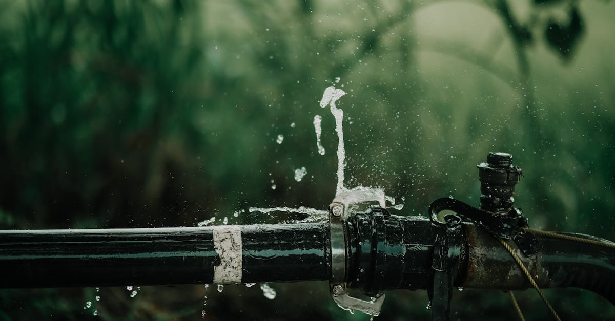 découvrez comment le management durable de la chaîne d’approvisionnement permet d’optimiser l’efficacité, de réduire l’impact environnemental et de valoriser la responsabilité sociale des entreprises.