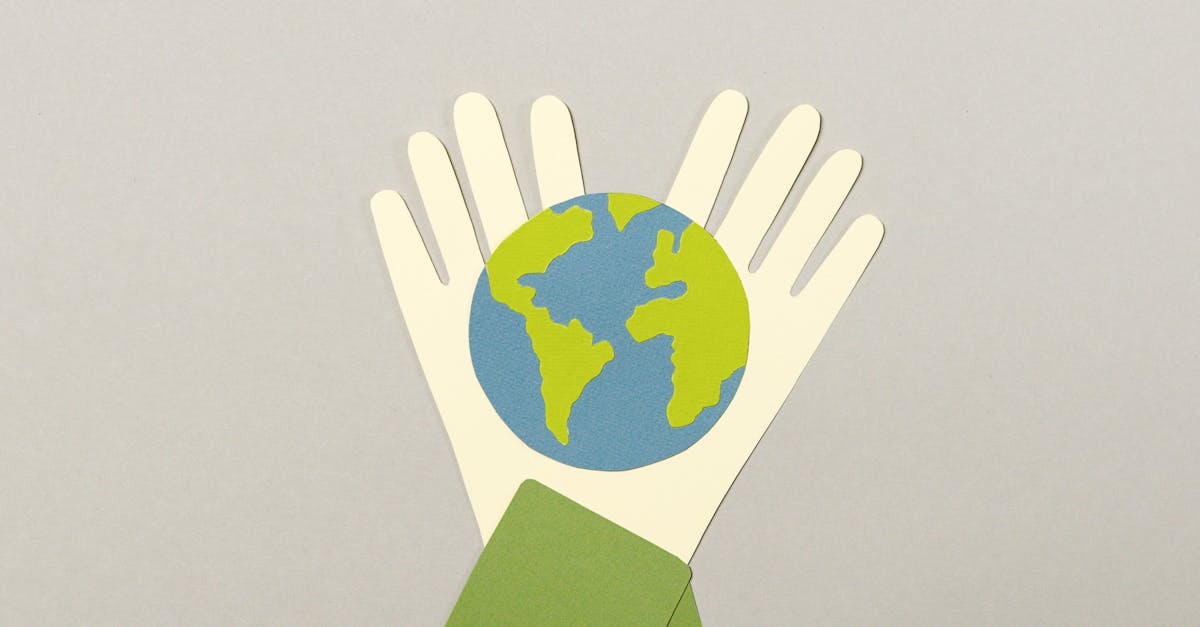 découvrez comment protéger notre planète grâce à des actions durables et responsables pour préserver l'environnement et assurer un avenir meilleur.