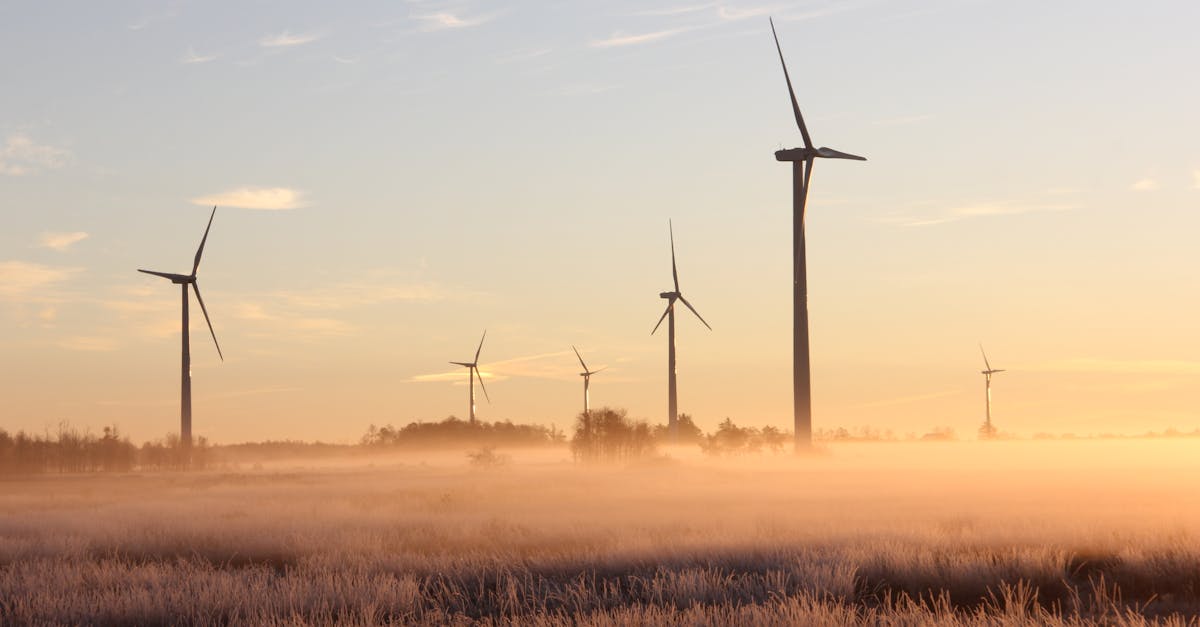découvrez comment adopter des pratiques durables pour protéger l’environnement, améliorer votre quotidien et contribuer à un avenir plus responsable grâce à des conseils et solutions en matière de sustainability.