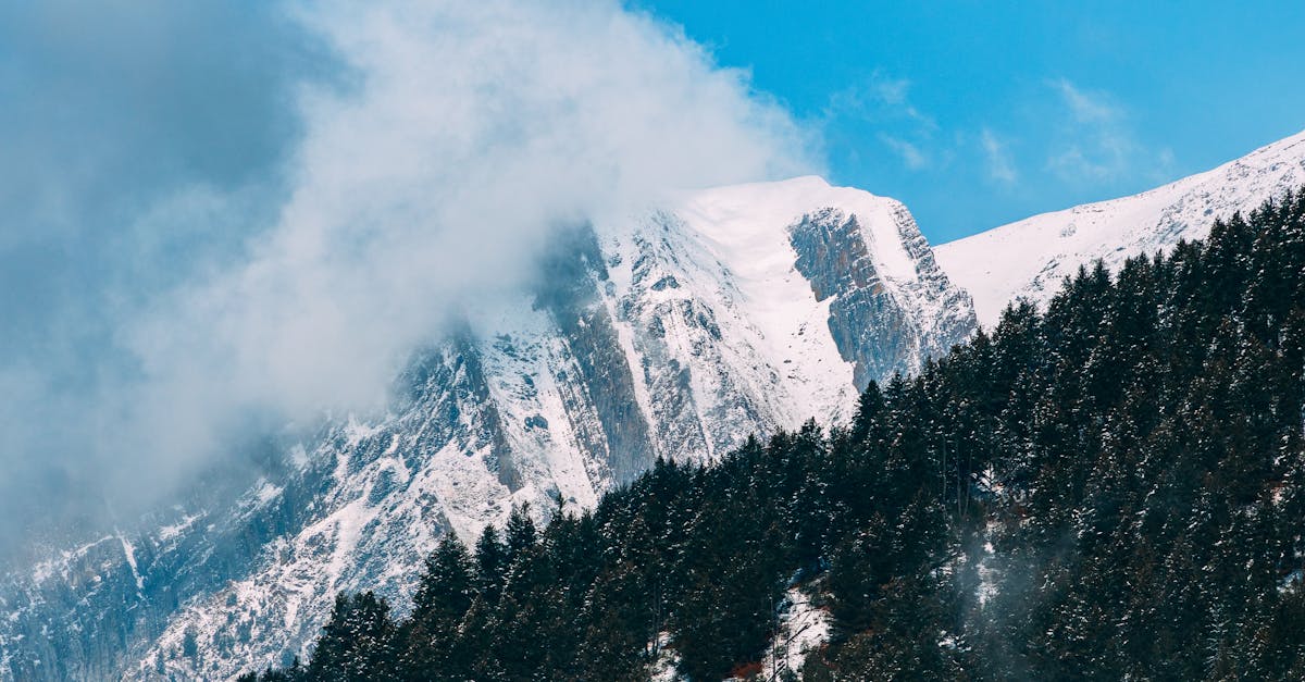 découvrez comment le financement climatique joue un rôle crucial dans la lutte contre le changement climatique, en soutenant les projets durables et en assurant un avenir plus vert pour notre planète.