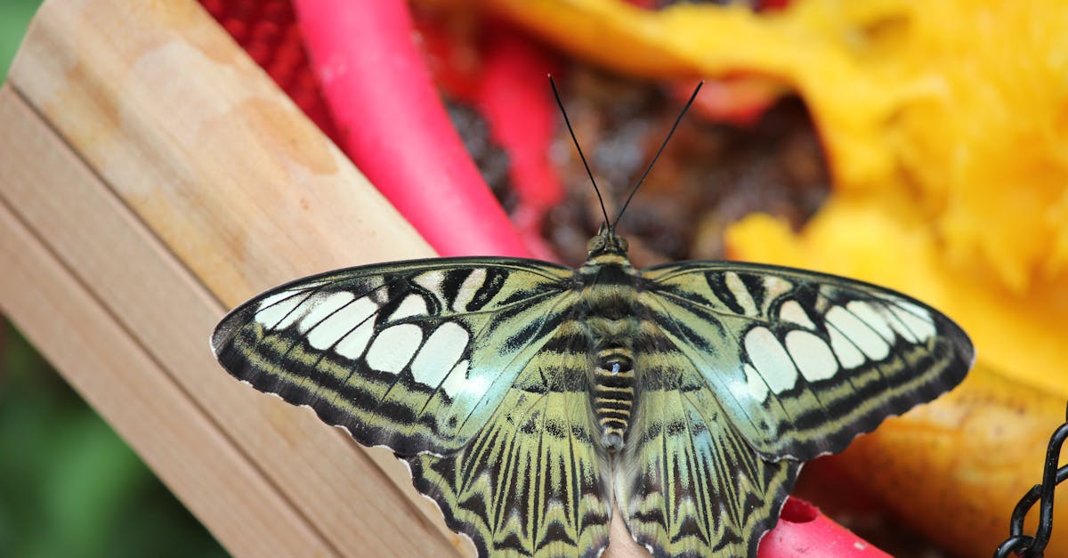 découvrez la taxonomie verte, un cadre innovant qui vise à classer les activités économiques en fonction de leur impact environnemental. explorez comment cette approche favorise un investissement durable et aide les entreprises à s'engager dans des pratiques écologiques.