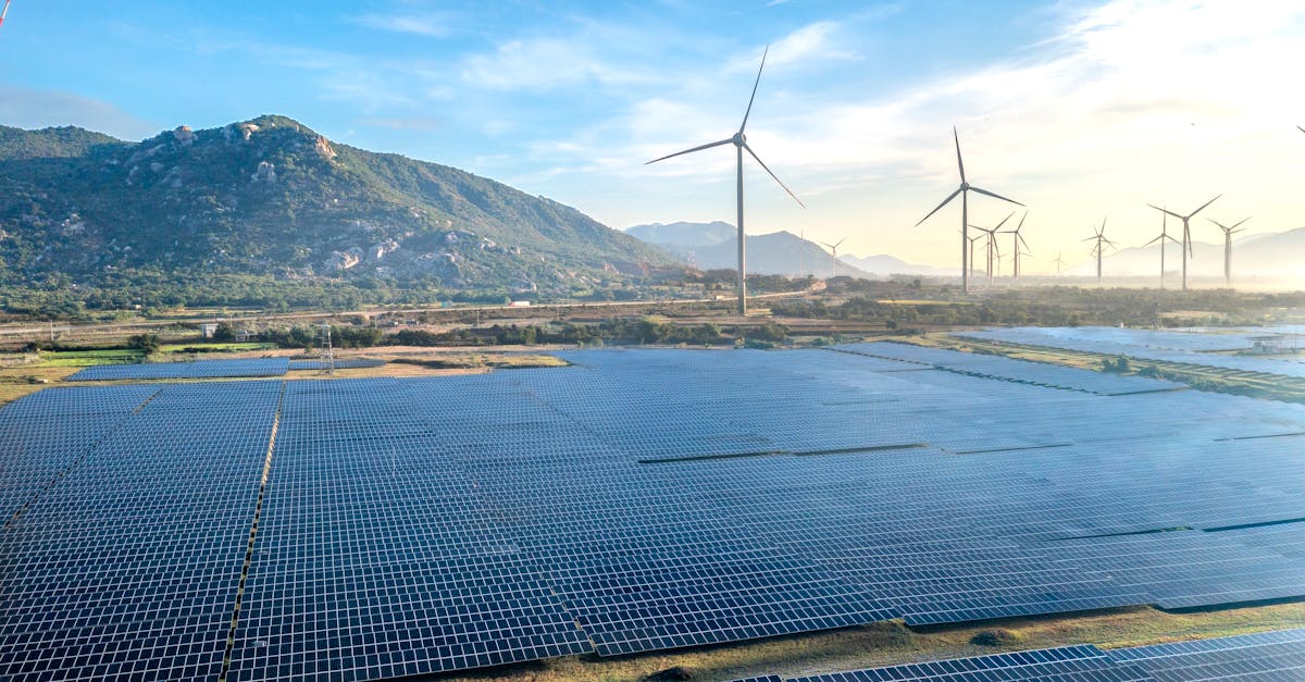 découvrez comment adopter une transition durable pour préserver l'environnement et promouvoir un avenir responsable et équitable.