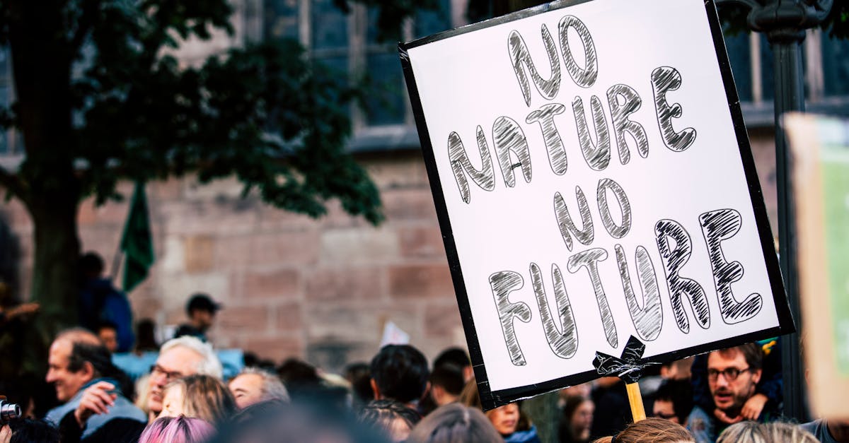 découvrez les stratégies et actions efficaces pour atténuer le changement climatique et protéger notre planète pour les générations futures.