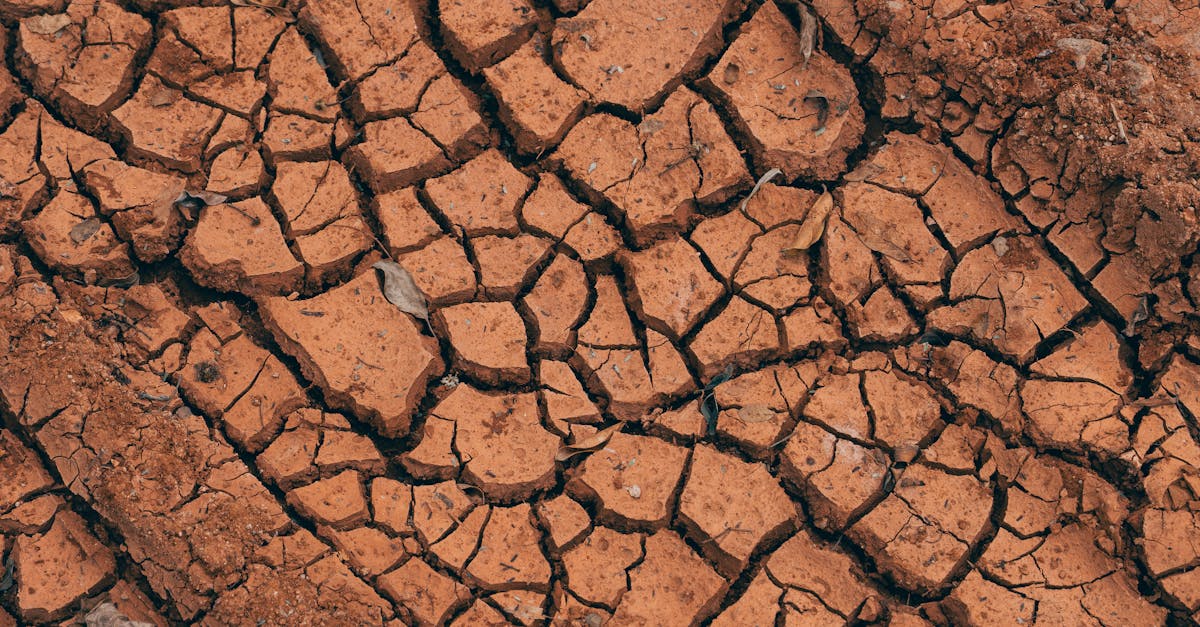 comprendre la dégradation des sols : causes, impacts environnementaux et solutions pour préserver la fertilité et la santé des terres agricoles.