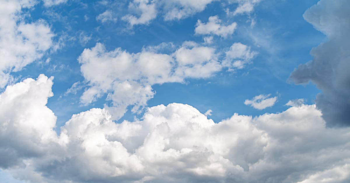 découvrez les enjeux cruciaux des négociations climatiques, où les nations se rassemblent pour lutter contre le changement climatique et promouvoir un avenir durable. analyse des implications, des accords internationaux et des actions nécessaires pour préserver notre planète.