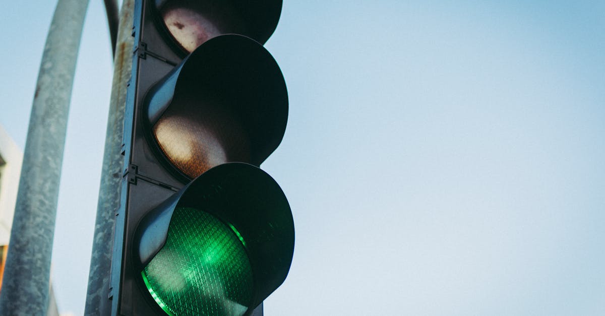 découvrez les infrastructures vertes, des solutions innovantes qui allient durabilité et fonctionnalité. apprenez comment elles contribuent à l'amélioration de l'environnement urbain, la gestion des eaux pluviales et la biodiversité tout en offrant un cadre de vie agréable.