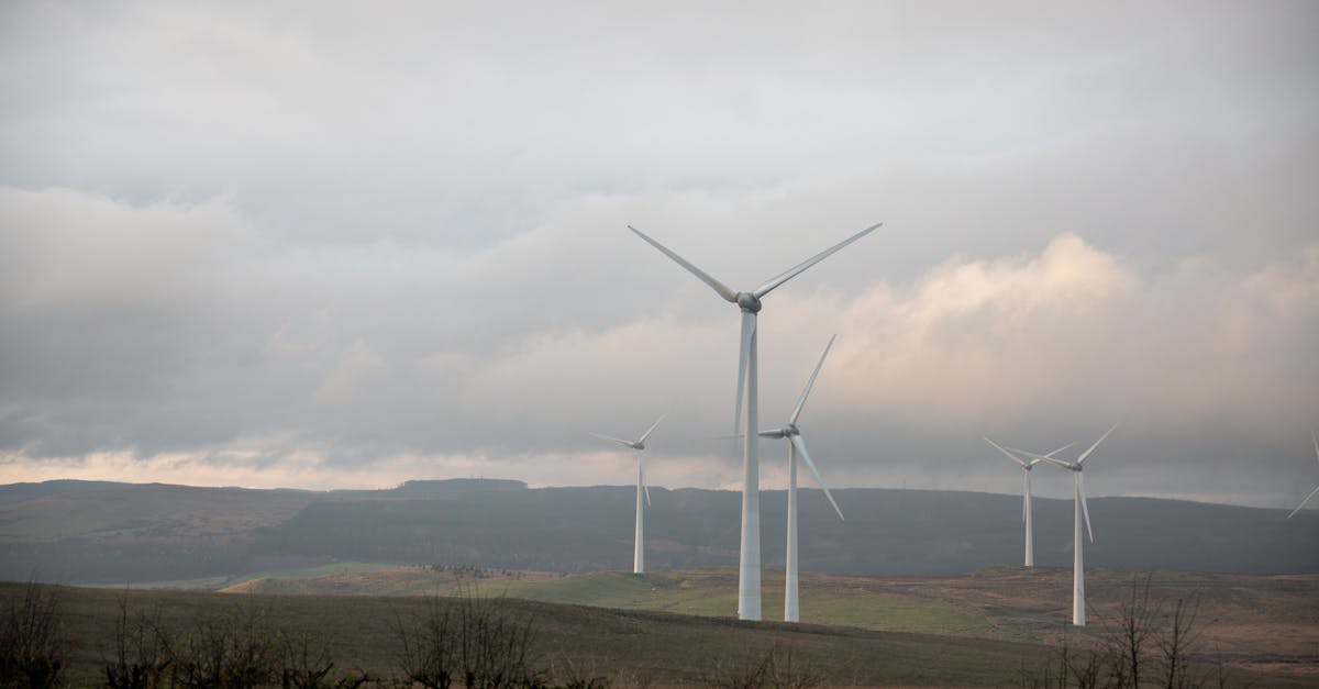 découvrez les politiques environnementales visant à protéger la planète, promouvoir le développement durable et réduire l'impact écologique.