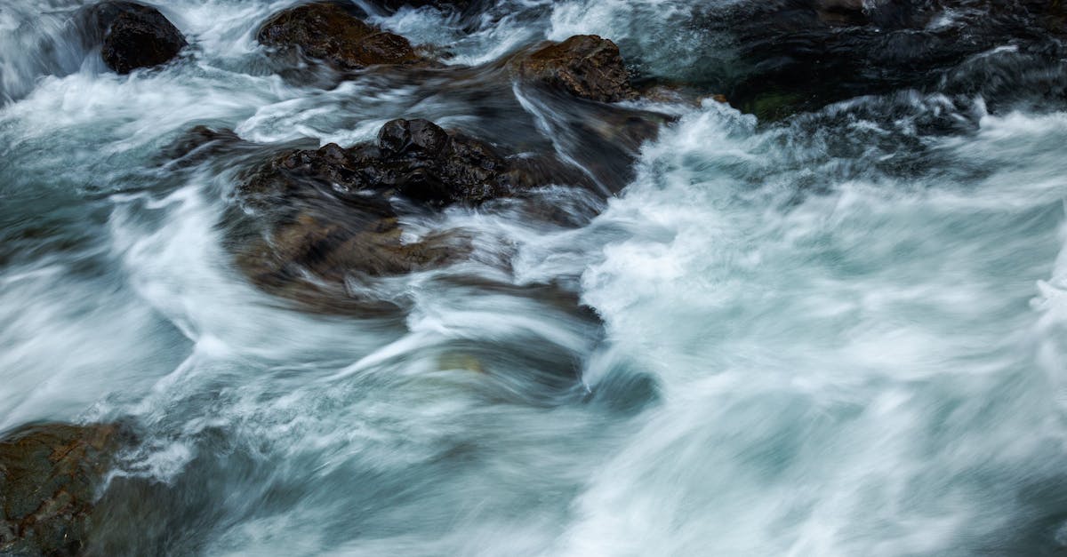 découvrez le gulf stream, le puissant courant océanique chaud qui influence le climat de l'atlantique nord et joue un rôle crucial dans les écosystèmes marins.