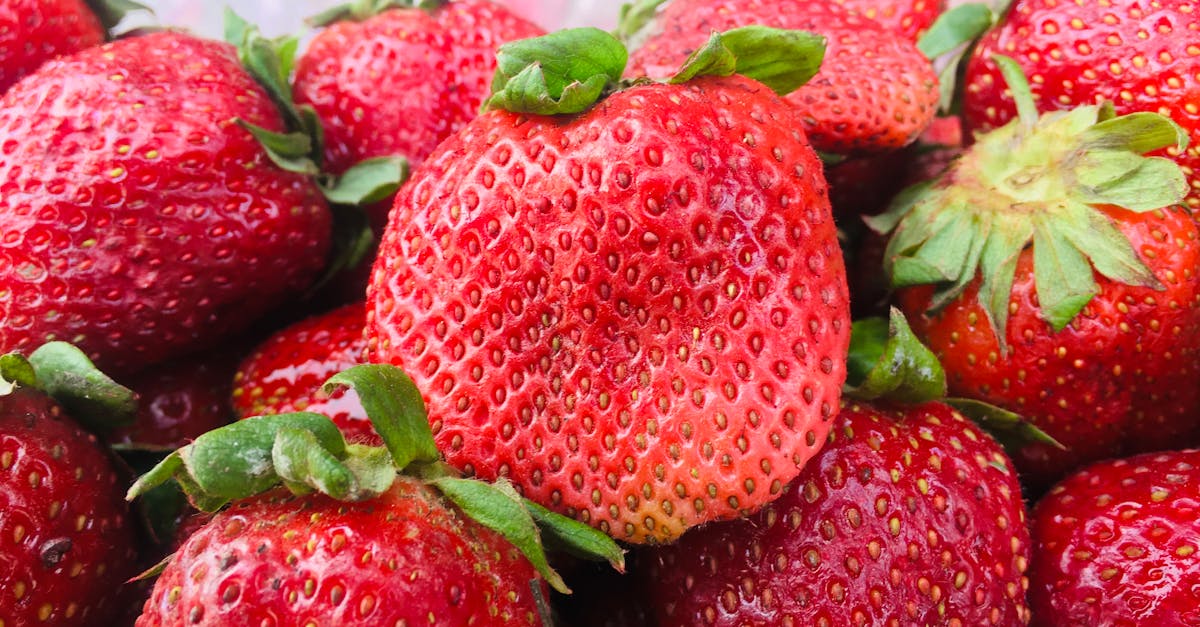 découvrez tout sur la fraise : ses bienfaits, ses variétés et comment l'intégrer dans vos recettes gourmandes.
