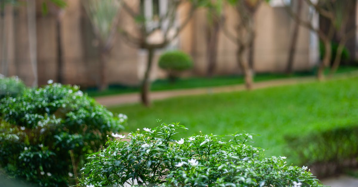 découvrez notre guide complet pour aménager un jardin magnifique, des conseils de plantation aux astuces d'entretien pour un espace vert harmonieux.