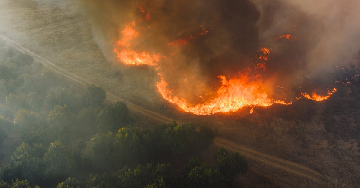 découvrez les risques liés au changement climatique et leurs impacts sur l'environnement, la santé et l'économie mondiale.