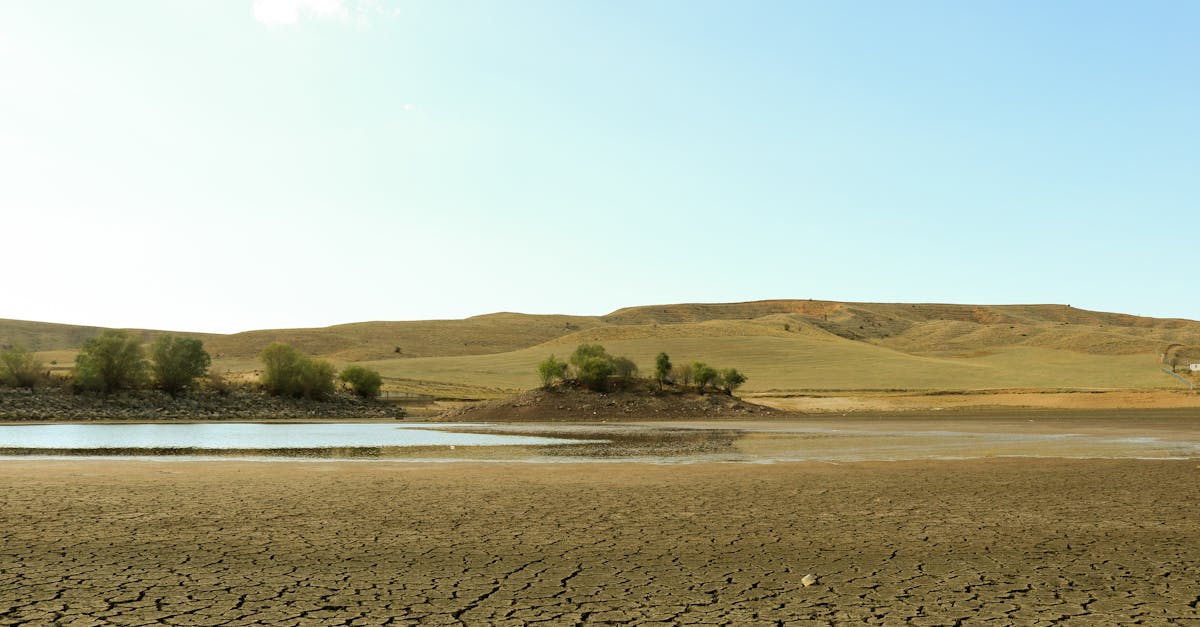 découvrez les causes, les impacts et les solutions du changement climatique pour mieux comprendre cet enjeu crucial de notre planète.
