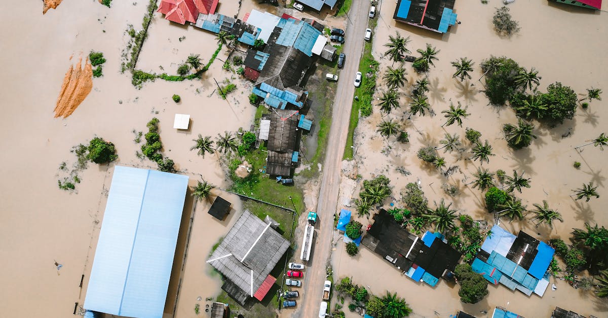 découvrez les causes, les impacts et les solutions du changement climatique pour protéger notre planète et construire un avenir durable.