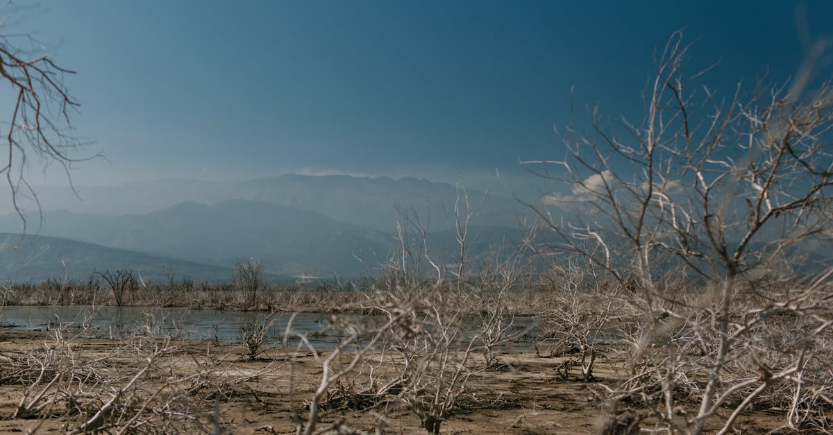 découvrez l'impact du changement climatique sur les environnements montagneux et les mesures pour protéger ces écosystèmes fragiles.