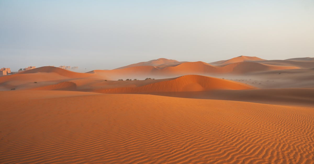 découvrez les enjeux et opportunités du financement climatique, un levier essentiel pour soutenir les initiatives écologiques et favoriser la transition vers une économie durable. apprenez comment les investissements verts peuvent contribuer à la lutte contre le changement climatique.