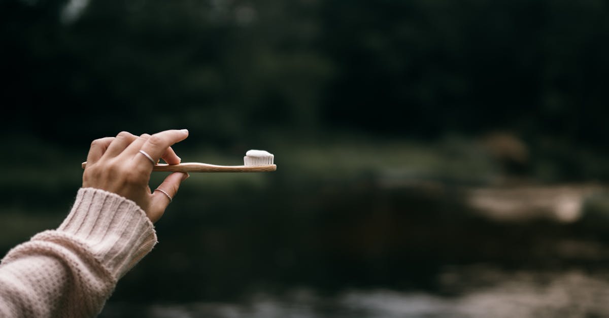 découvrez notre sélection de produits durables et respectueux de l'environnement. optez pour des choix écologiques qui améliorent votre quotidien tout en préservant la planète.
