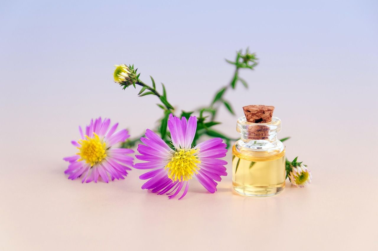 découvrez nos cosmétiques naturels, formulés avec des ingrédients issus de la nature pour une beauté saine et respectueuse de votre peau.