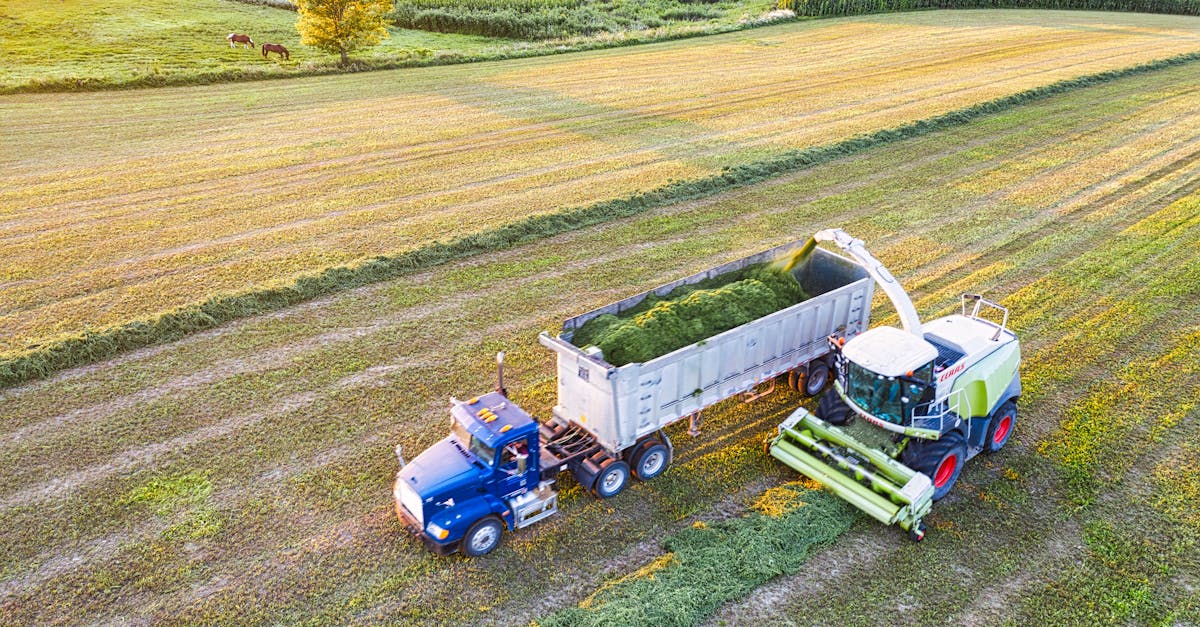 découvrez nos solutions de forage pour la production, alliant efficacité et technologie avancée pour répondre à vos besoins industriels.