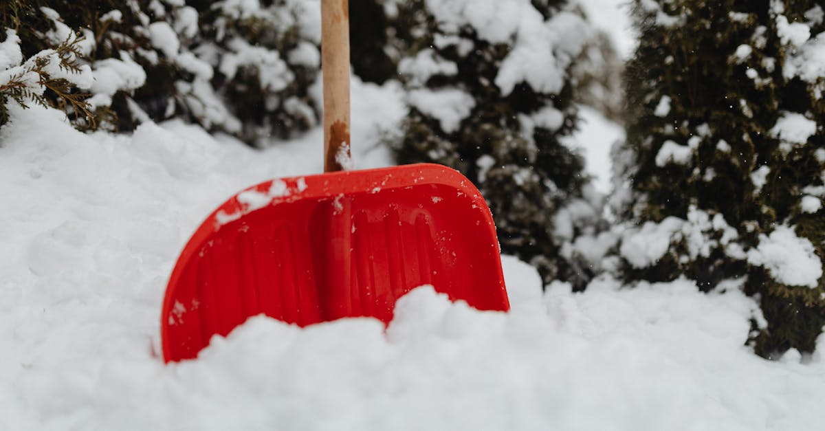 découvrez tout sur les fortes chutes de neige : causes, impacts et conseils pour bien les affronter en toute sécurité.