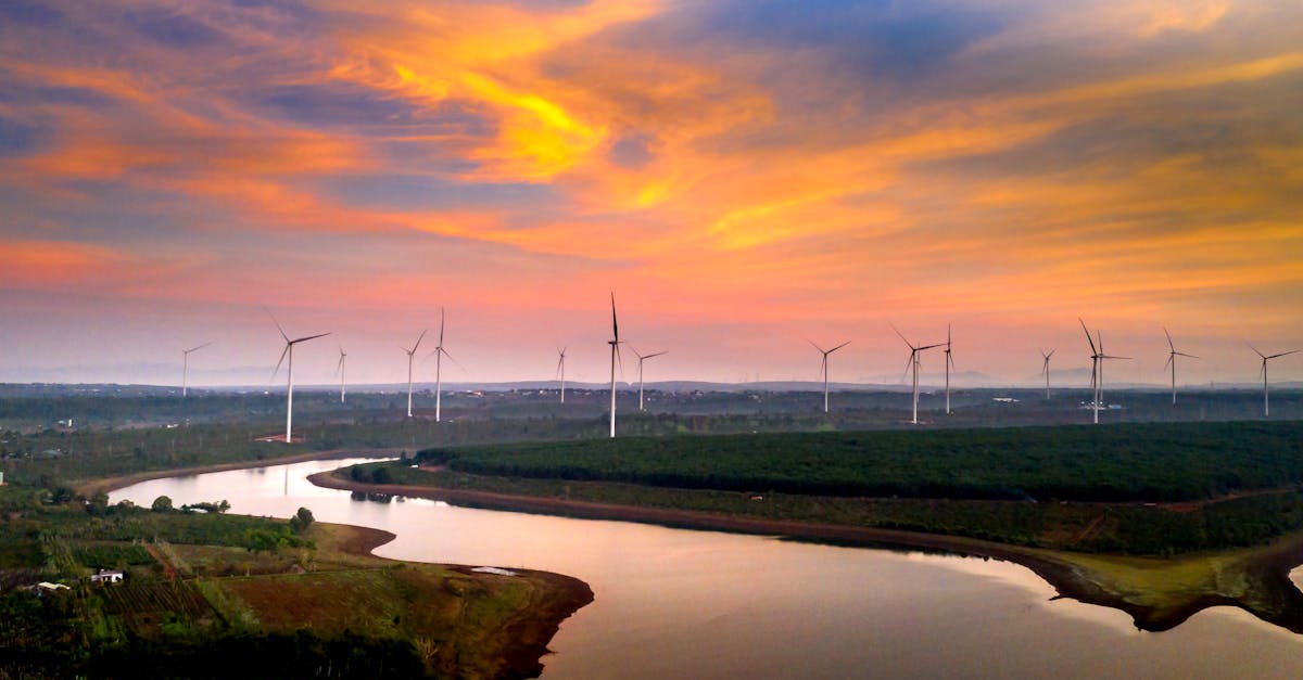 découvrez les enjeux et solutions de la transition énergétique pour un avenir durable et respectueux de l'environnement.