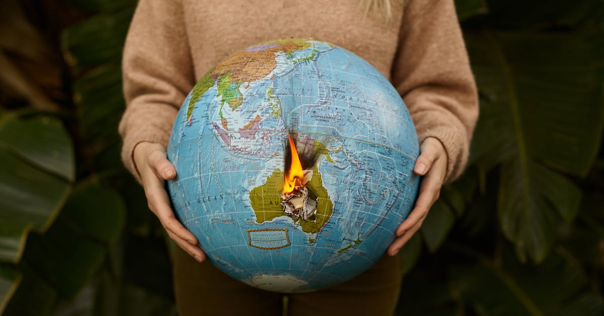 analyse approfondie des impacts du changement climatique sur les écosystèmes, l'économie et la société, avec des données actuelles et des projections futures.