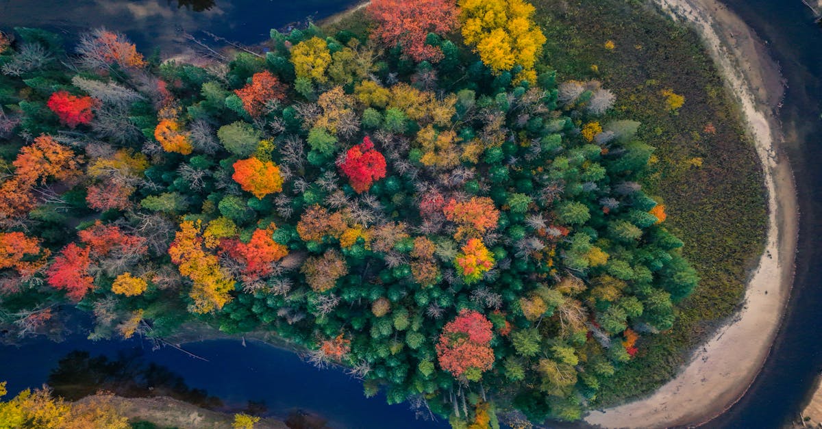 découvrez les enjeux et solutions de la transition écologique pour un avenir durable, alliant innovation, respect de l'environnement et responsabilité sociale.