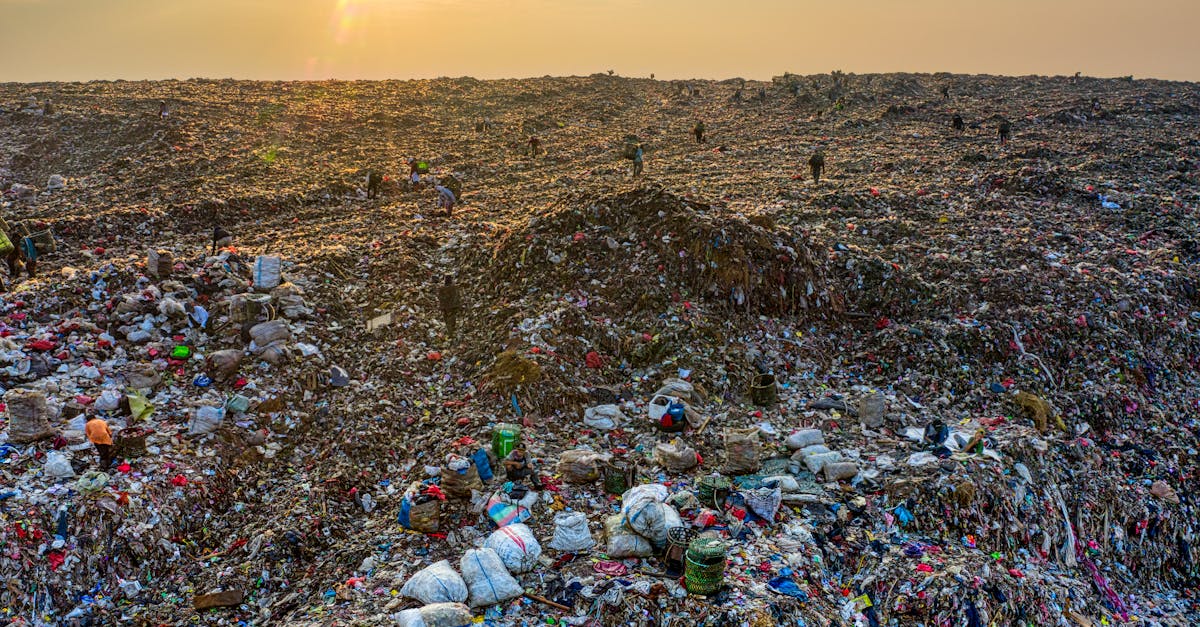 découvrez les enjeux et les méthodes de la récupération des ressources, un processus essentiel pour le développement durable et la préservation de notre environnement. explorez comment les technologies innovantes et les stratégies de recyclage contribuent à une économie circulaire efficace.