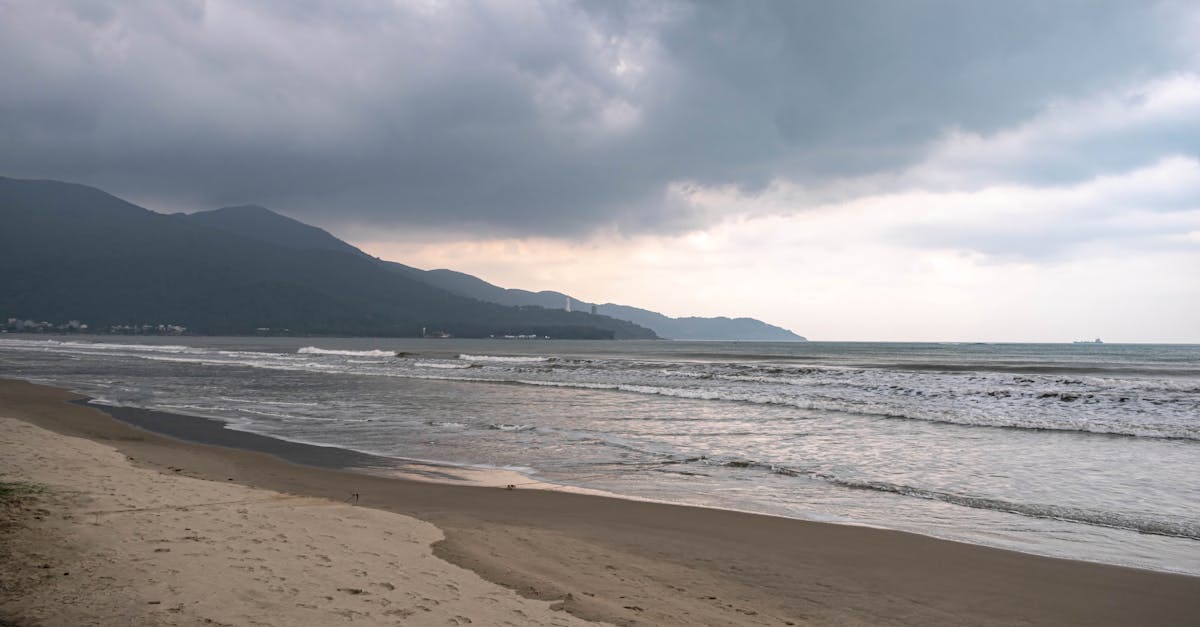 découvrez l'importance du financement climatique dans la lutte contre le changement climatique. explorez les stratégies, les projets et les initiatives visant à mobiliser des fonds pour soutenir des solutions durables et réduire l'impact environnemental à l'échelle mondiale.