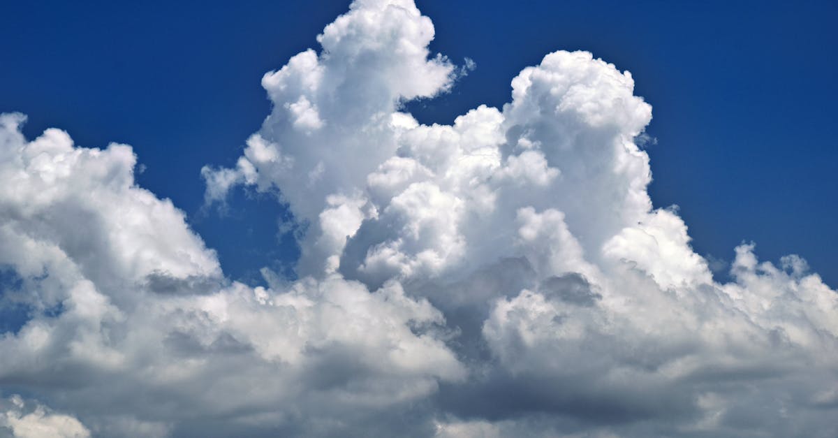 découvrez la convention climatique, un accord international visant à lutter contre le changement climatique et à promouvoir des actions durables. explorez les enjeux, les engagements des pays et les initiatives mises en place pour préserver notre planète pour les générations futures.