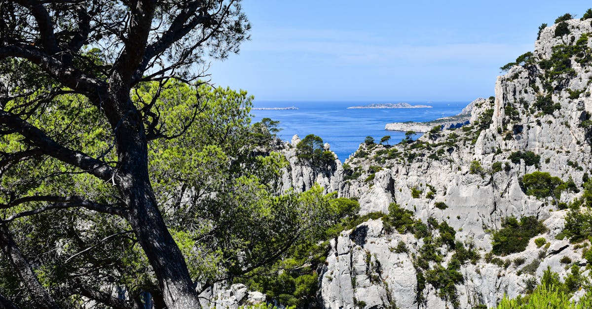 découvrez les initiatives et stratégies pour la conservation de l'environnement en région méditerranéenne, visant à protéger la biodiversité unique et les écosystèmes fragiles.