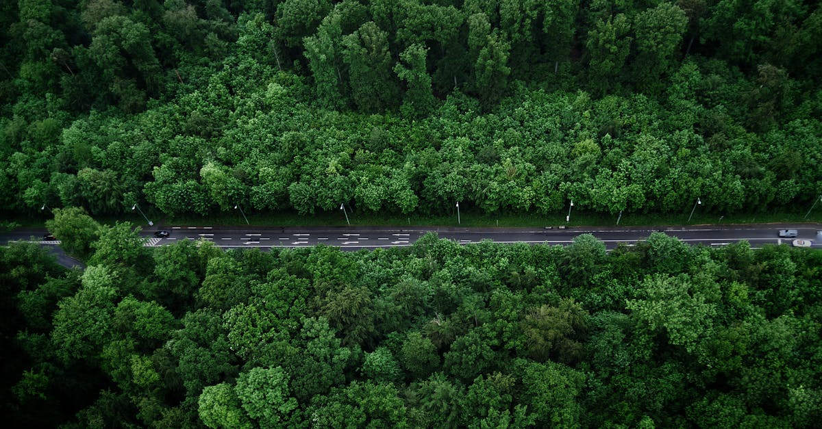 découvrez g7 environment, votre partenaire dédié à la gestion durable des déchets et à la protection de l'environnement grâce à des solutions innovantes et responsables.