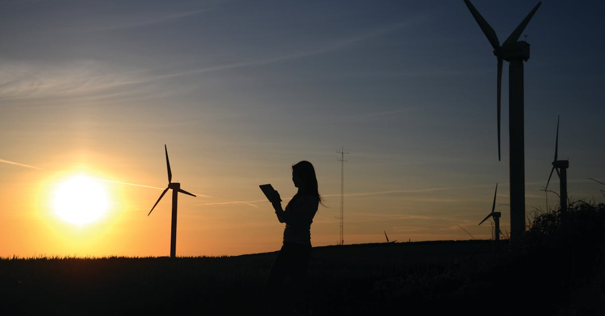 découvrez les principes et pratiques de la durabilité pour un avenir plus respectueux de l'environnement et socialement responsable. apprenez comment adopter un mode de vie durable au quotidien.