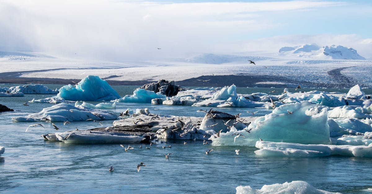 découvrez les causes, les impacts et les solutions du changement climatique pour protéger notre planète et assurer un avenir durable.