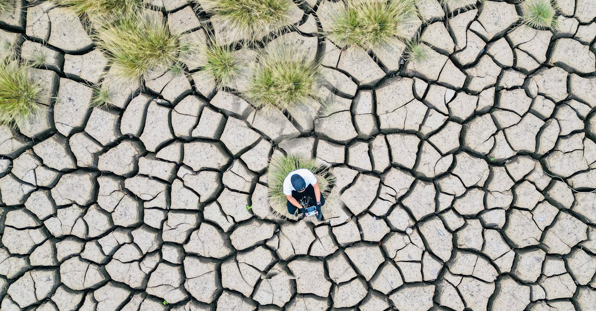 mesurer l'impact du changement climatique : méthodes et outils pour évaluer les effets environnementaux et sociaux.