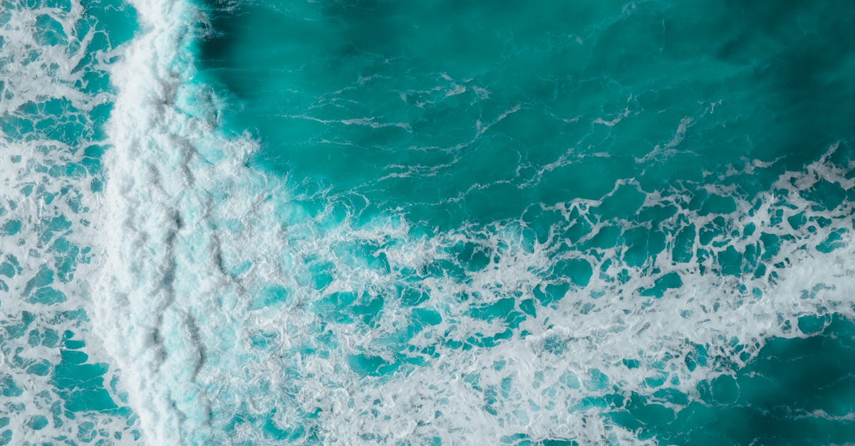 découvrez les mystères et la beauté des océans, ces vastes étendues d'eau qui couvrent la majeure partie de notre planète, abritant une biodiversité incroyable et jouant un rôle crucial dans le climat mondial.