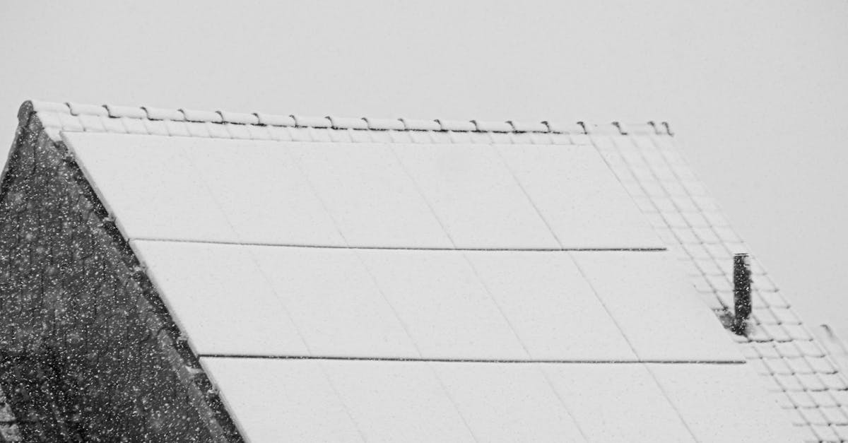 découvrez des stratégies innovantes et des solutions pratiques pour s'adapter aux changements climatiques. apprenez comment les collectivités, les entreprises et les individus peuvent préparer et atténuer les impacts du climat sur leur environnement et leur quotidien.