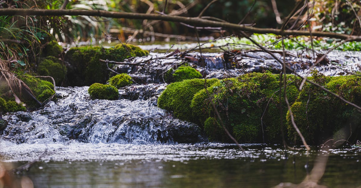découvrez les conséquences du changement climatique sur notre planète et notre quotidien. explorez ses impacts sur l'environnement, la biodiversité et la société, ainsi que les solutions pour un avenir durable.