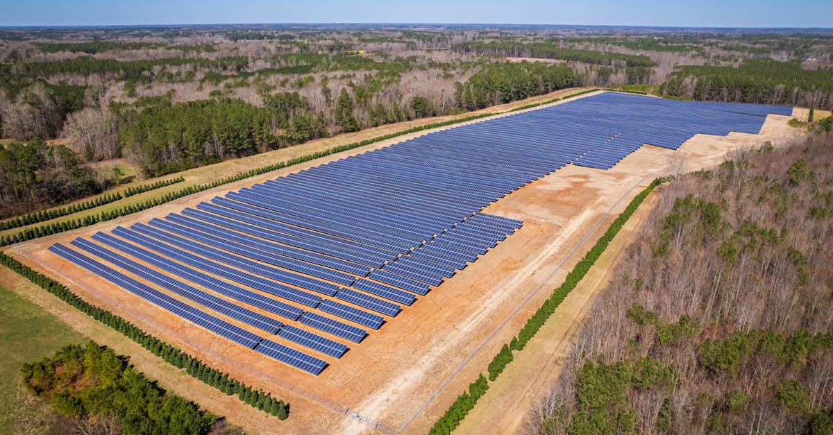 découvrez l'importance des ressources naturelles pour notre planète. apprenez comment elles soutiennent l'économie, préservent l'environnement et influencent notre quotidien. explorez les enjeux de la durabilité et de la gestion responsable des ressources pour un avenir meilleur.