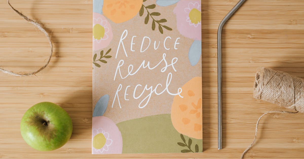 découvrez nos initiatives et conseils pour adopter un mode de vie durable, respectueux de l'environnement et bénéfique pour les générations futures.