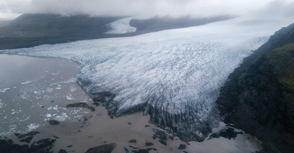 découvrez l'impact du changement climatique sur les régions montagneuses et les défis environnementaux liés à l'évolution des écosystèmes alpins.