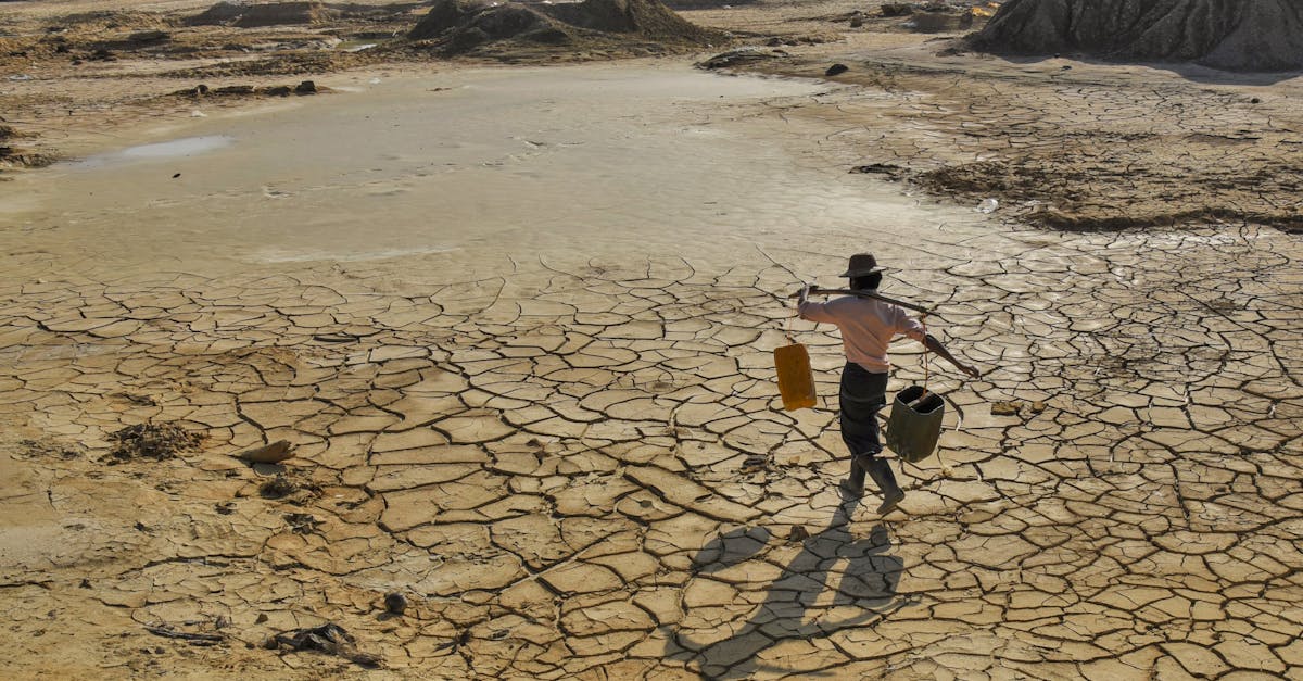 découvrez des ressources complètes et fiables sur le changement climatique pour mieux comprendre ses impacts et agir efficacement.