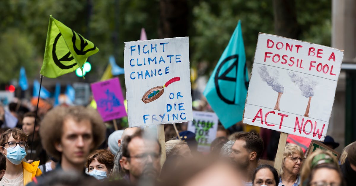 découvrez les causes, les effets et les solutions face au changement climatique pour protéger notre planète et assurer un avenir durable.