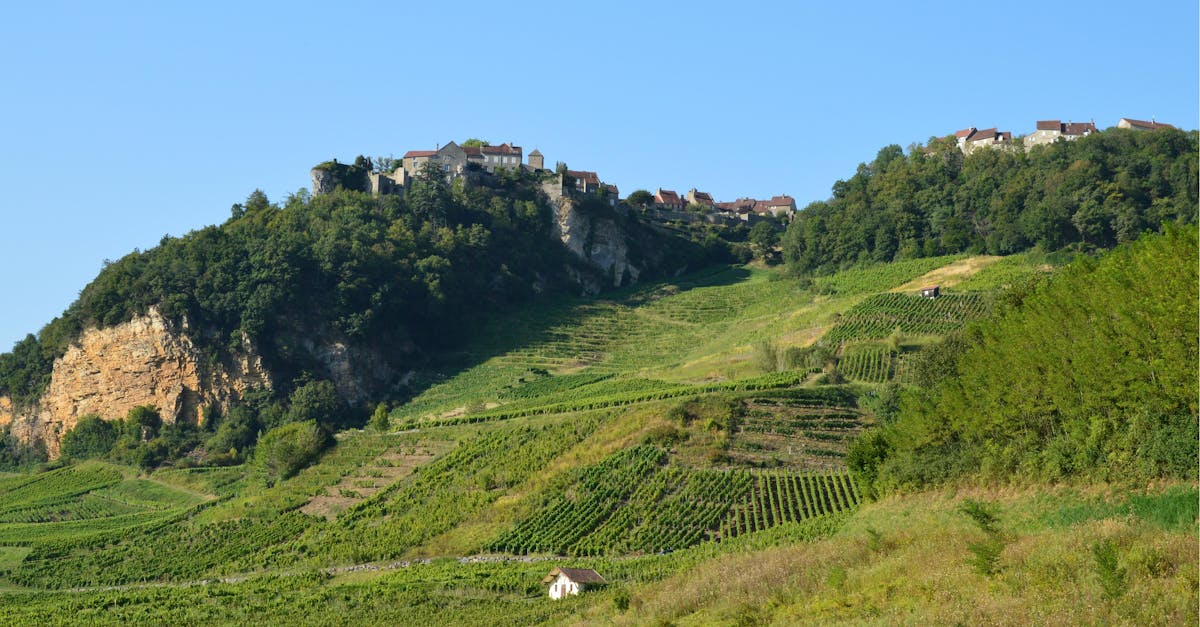 découvrez les vignobles français emblématiques, leurs paysages magnifiques et les saveurs uniques des vins produits en france.