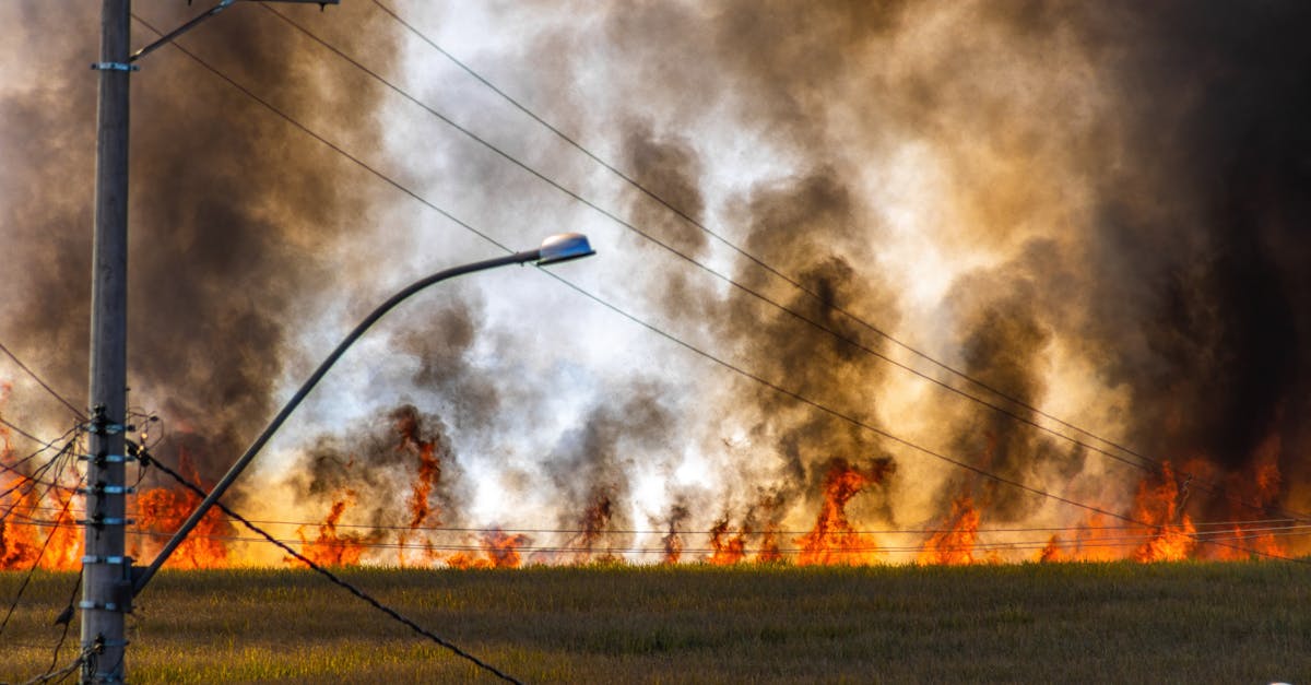 découvrez les causes et les solutions à la crise énergétique mondiale, ses impacts sur l'économie et l'environnement, et comment y faire face efficacement.
