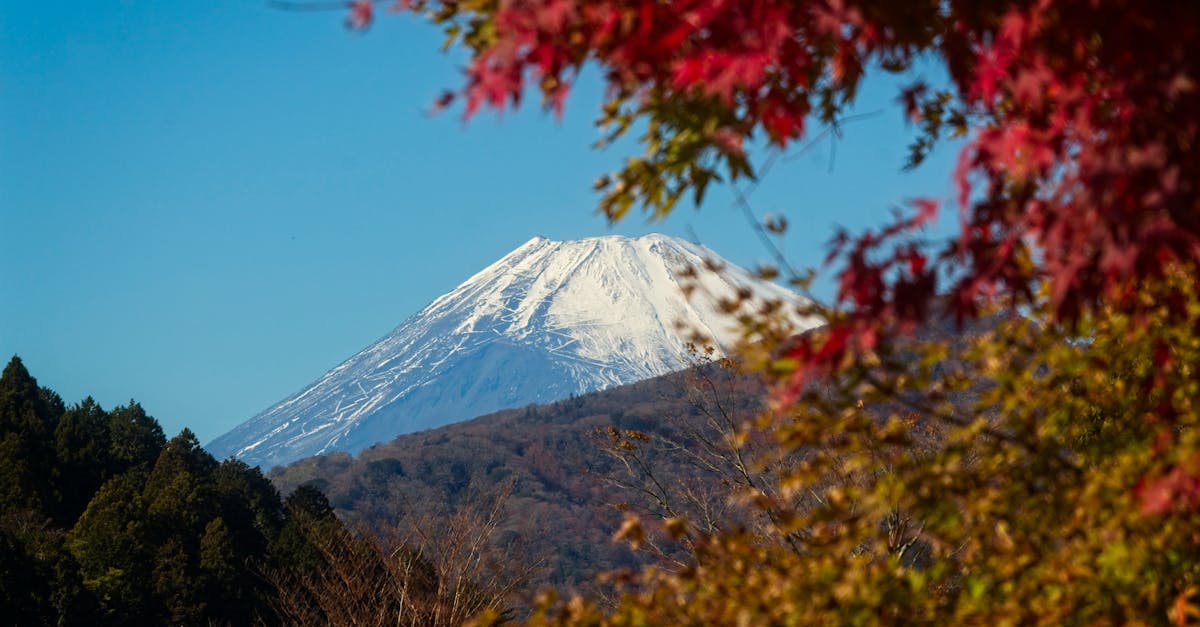 analyse critique de l'inaction du gouvernement japonais face au changement climatique et ses conséquences sur l'environnement.