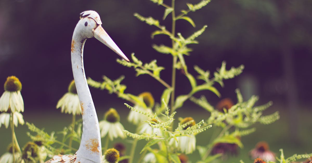 découvrez l'art écologique, une forme d'expression artistique engagée qui sensibilise à l'environnement en utilisant des matériaux durables et des techniques respectueuses de la nature.