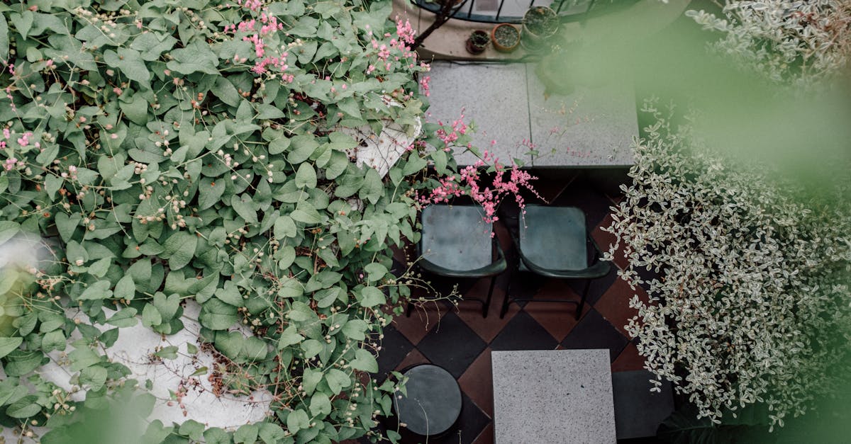 découvrez tout sur le jardinage : conseils, astuces et idées pour aménager et entretenir votre jardin avec succès.