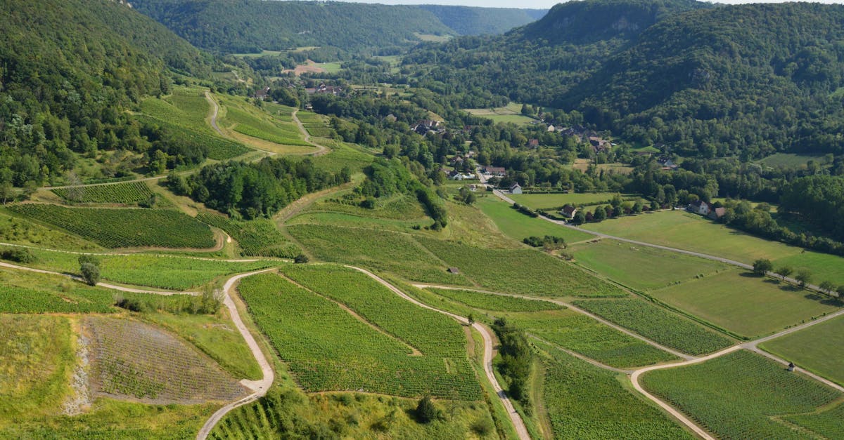 découvrez les vignobles français, leur histoire riche, leurs terroirs uniques et les meilleurs crus pour une expérience œnologique inoubliable.