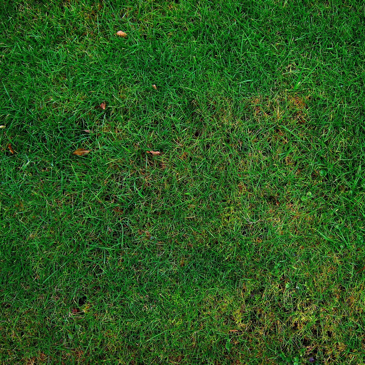 isolation thermique écologique : améliorez le confort de votre habitat tout en respectant l'environnement grâce à des matériaux durables et efficaces.