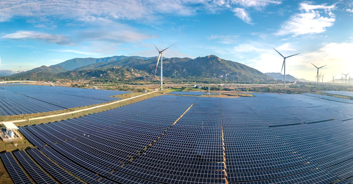 découvrez les stratégies et actions clés pour réussir la transition durable et préserver notre planète pour les générations futures.